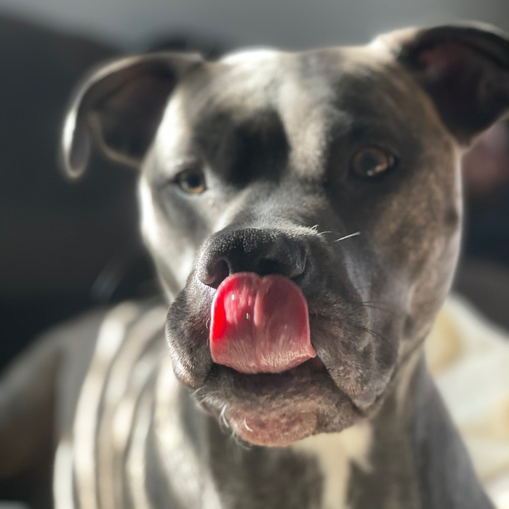 Meet your Posher, Kristen